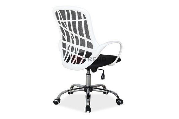 Комп'ютерне крісло DEXTER Signal Чорний / Білий жива фотографія