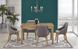 Стол раскладной Halmar TIAGO 2 140(220)x80 Дуб ривьера