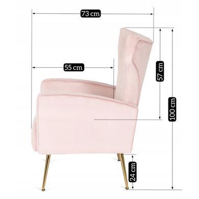 Крісло м'яке DIANA Velvet MEBEL ELITE Рожевий