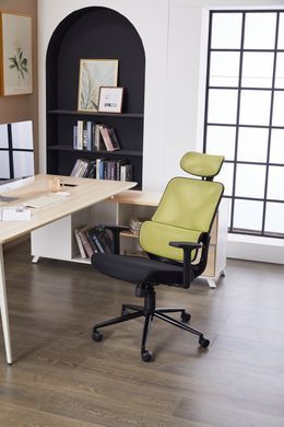 Комп'ютерне крісло Level Green Black Ergomix Зелений Чорний жива фотографія