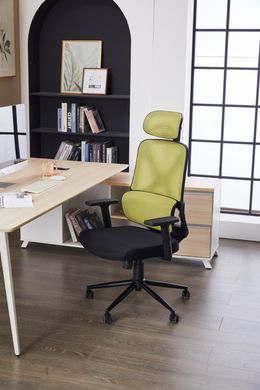 Комп'ютерне крісло Level Green Black Ergomix Зелений Чорний жива фотографія