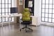 Комп'ютерне крісло Level Green Black Ergomix Зелений Чорний