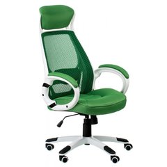 Компьютерное кресло BRIZ GREEN WHITE Special4You Зеленый